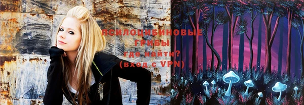 2c-b Калининец