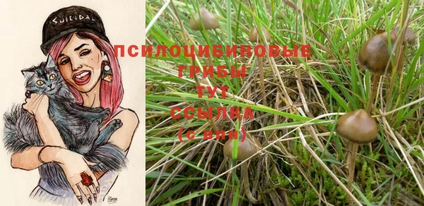 бутират Фёдоровский