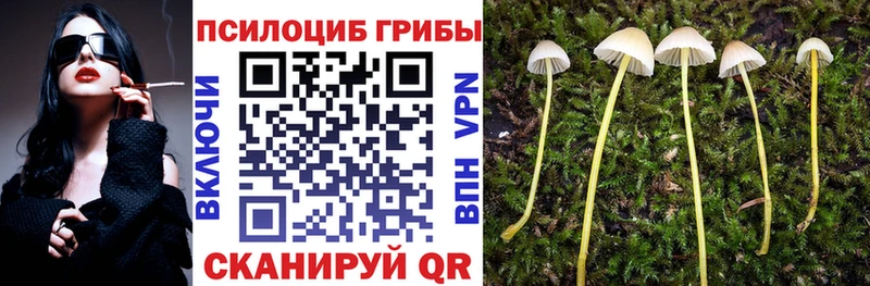 Псилоцибиновые грибы ЛСД  Купить закладки  Петров Вал 